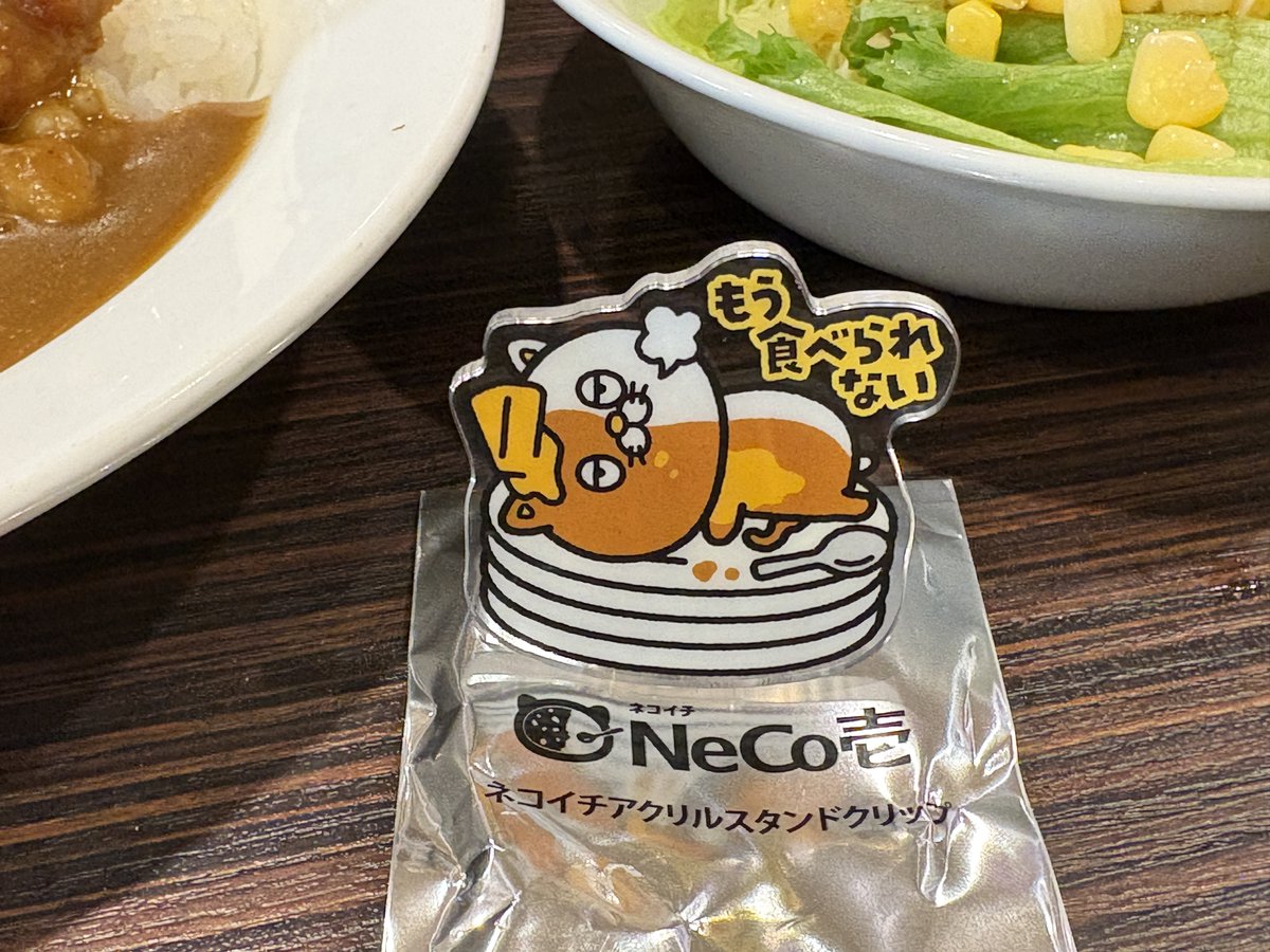 ネコイチセット 始まってたの気づかなかった😣💦 今回は自立出来る