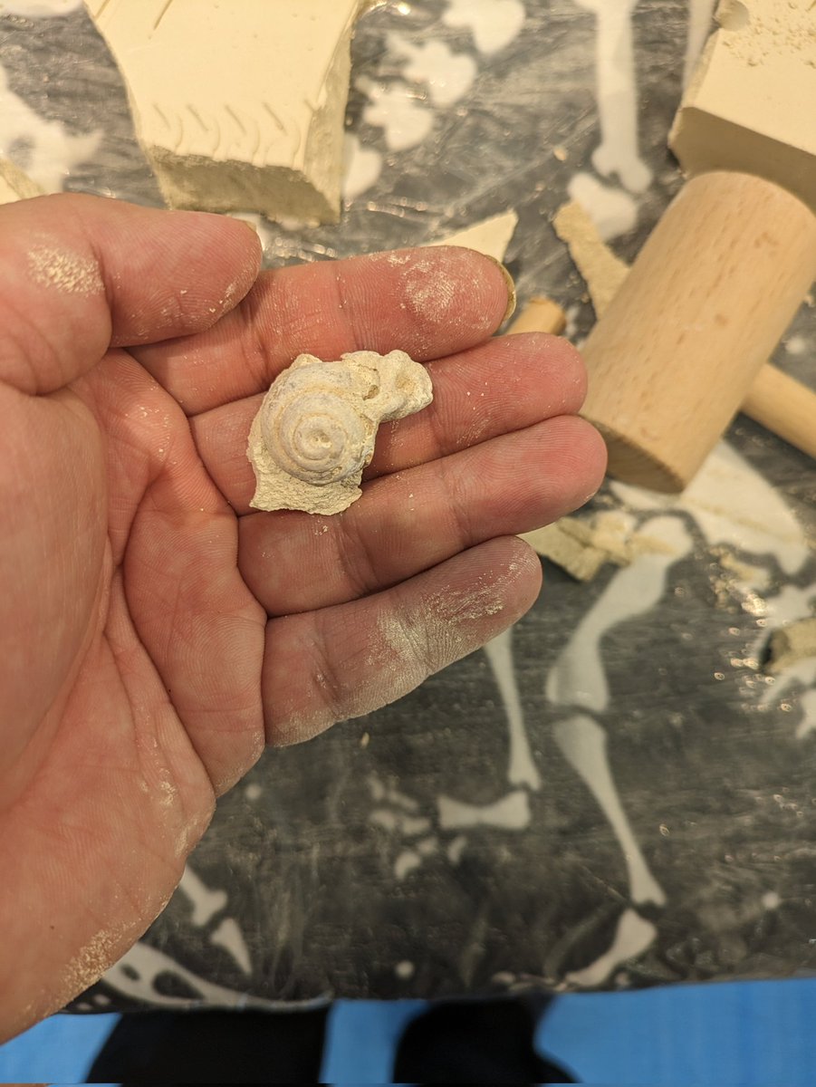 伸びた伸びないは置いといて2025年自身が思う力作 綺麗に彫れた