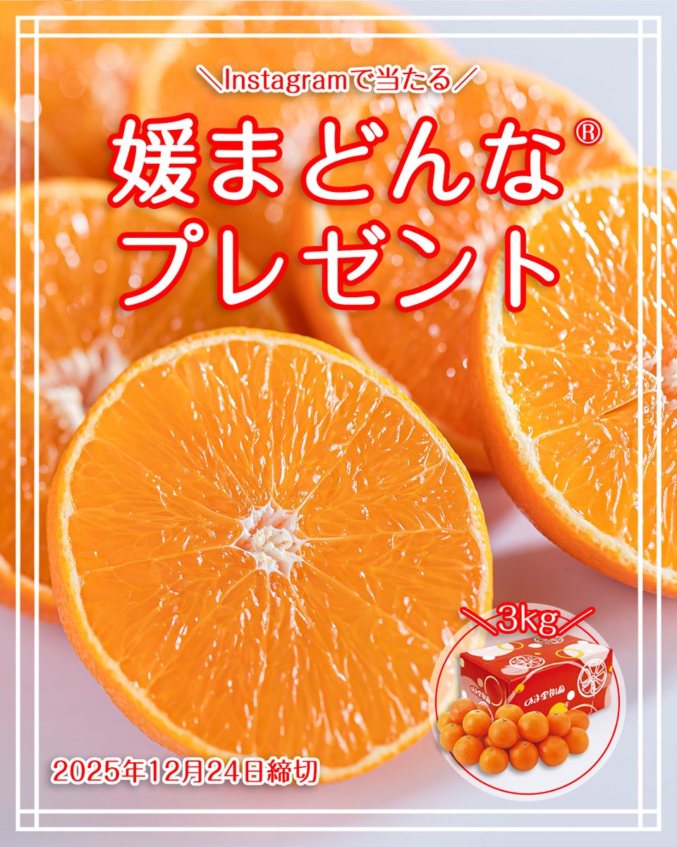 nomakajuen's tweet photo. ぷるぷる玉3kgを2名様にプレゼント！🍊
を、何スタグラムかで始めました！

【応募方法】
①ツリーからあちらに移動して
②フォロー＆いいね
③Xもフォロー＆いいね＆リポストすると...
④ありがとうやで！と心の中で思います！

【締切】
12月24日（水）23:59 https://t.co/4TJdL5dhgz