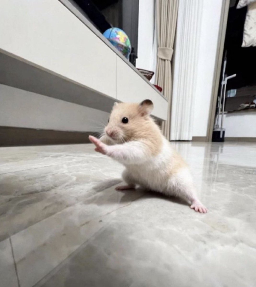 ボインオン tweet media