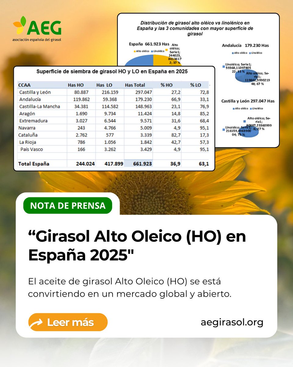 ¡No te pierdas nuestra nota de prensa más reciente!

📣 Girasol Alto Oleico (HO) en España 2025

El aceite de girasol Alto Oleico (HO) se está convirtiendo en un mercado global y abierto.

🔔 Nota de prensa entera en 📲 aegirasol.org