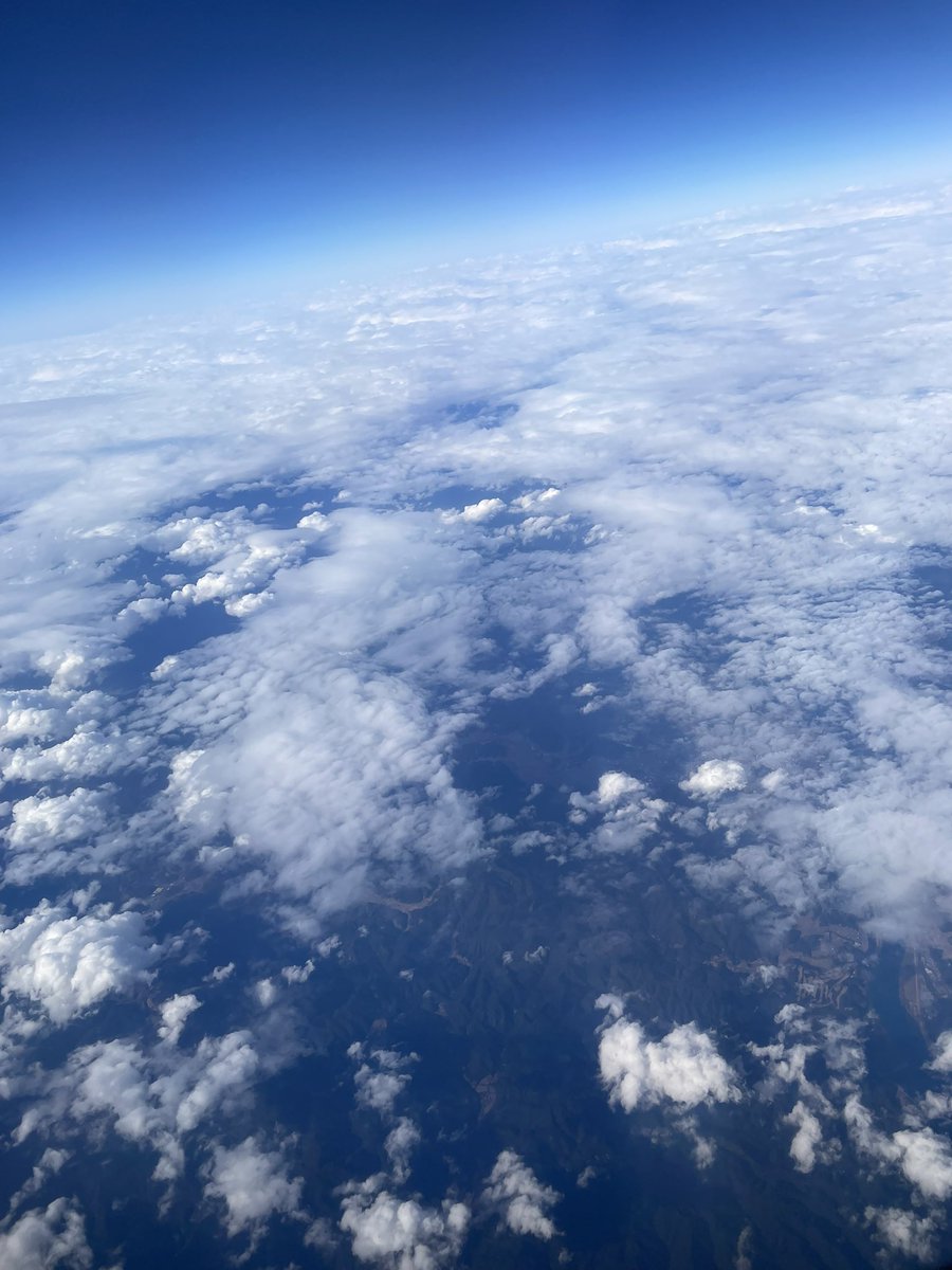 hachiloverie's tweet photo. た('ω')だ('ω')い('ω')ま('ω')𓂃꙳⋆ ˖✈︎ https://t.co/0lBRMhOX0b