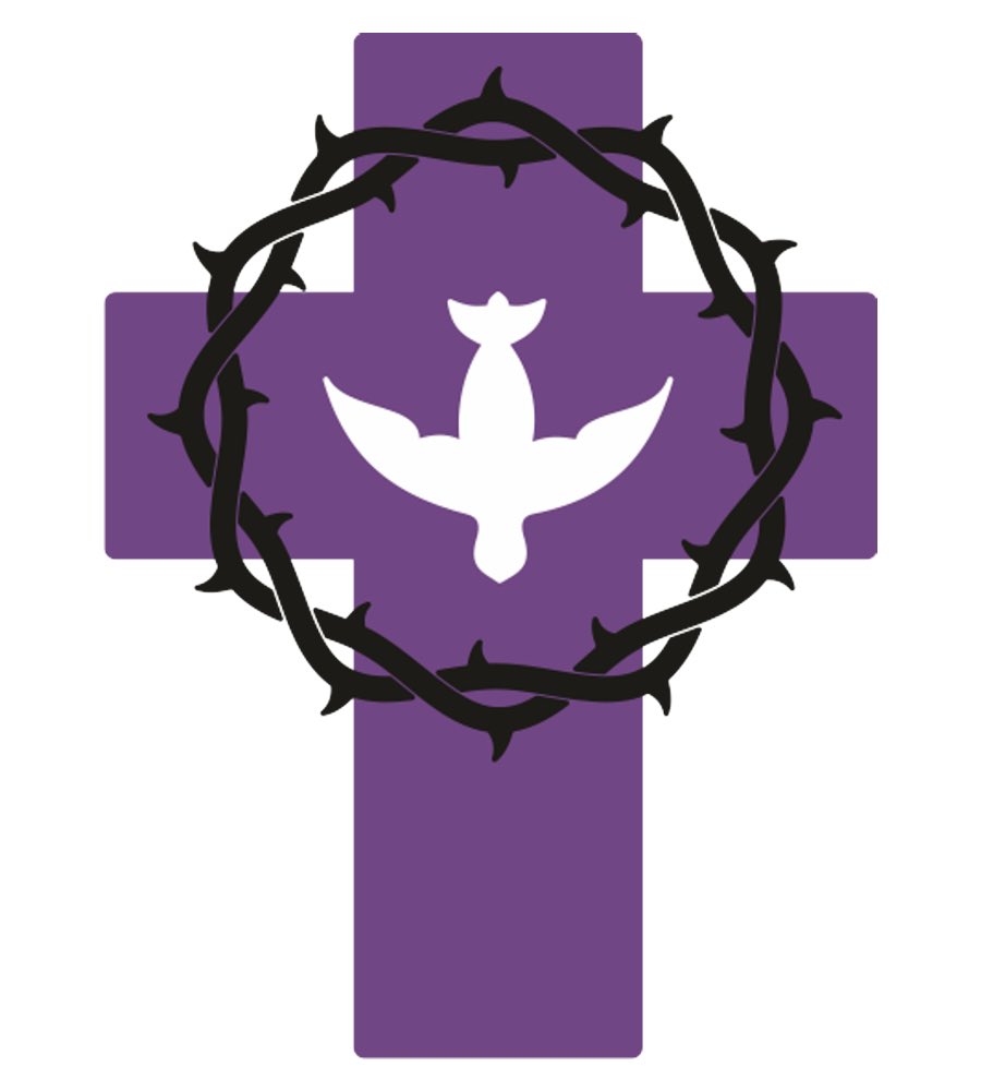 EspirituSantoZamora tweet media