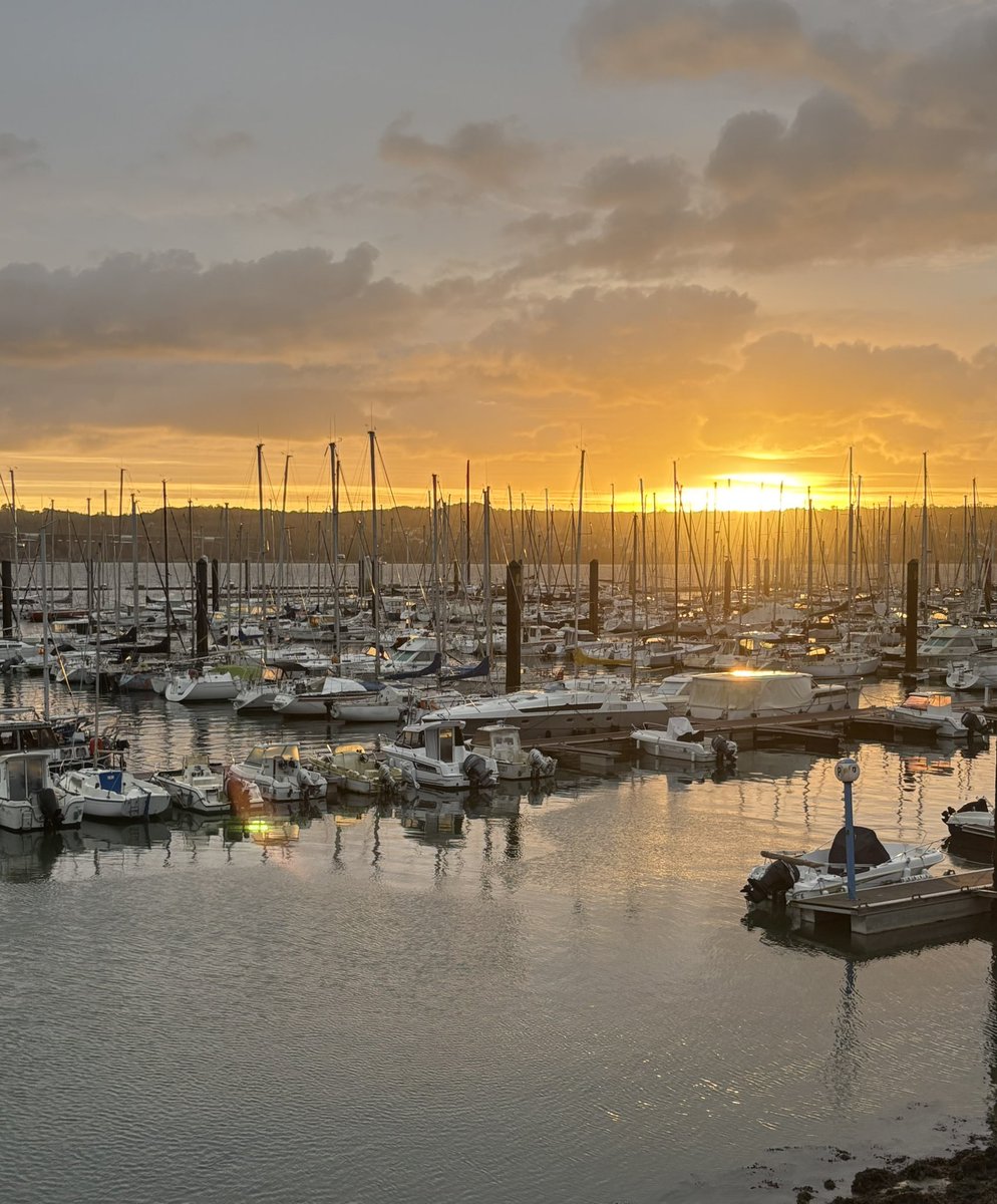 Marie-Laure Croguennec tweet media