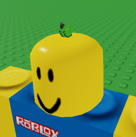 kipp 🇮🇪 tweet media