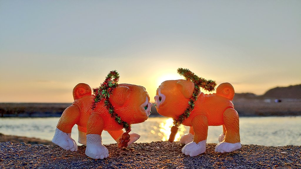 パグ獣🐶作った人→あきぱぐ🐶 (@pugchaa) / Posts / X