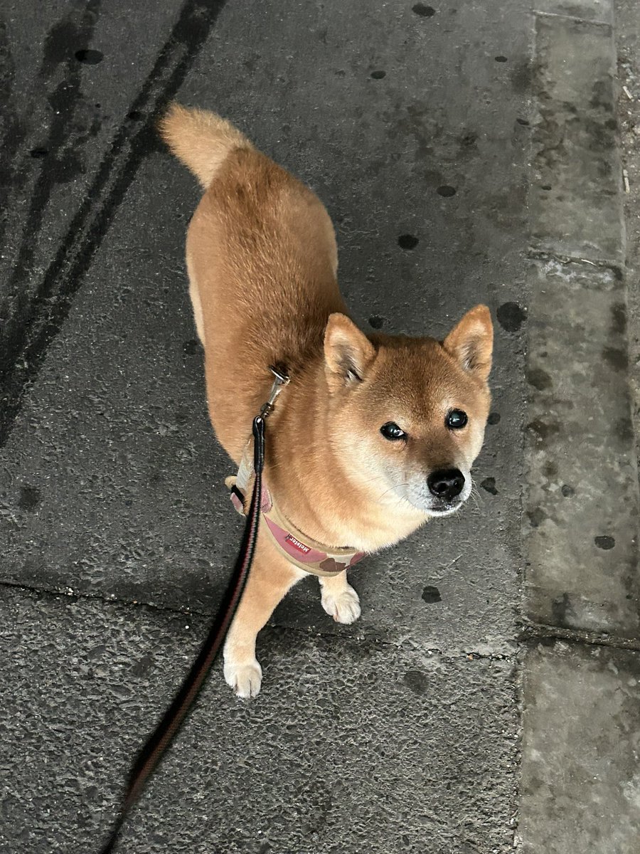 H I R O M I (@HIROMI66136439) / Posts / X