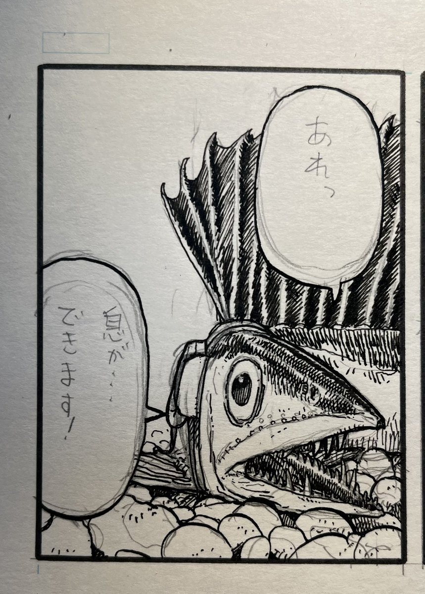 さとかつ Post by さとかつ on X: 🐟