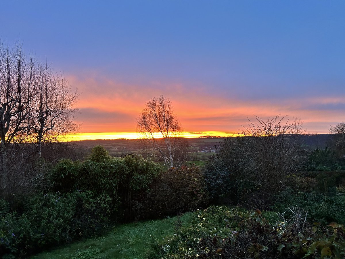 Deborah Mattocks tweet media