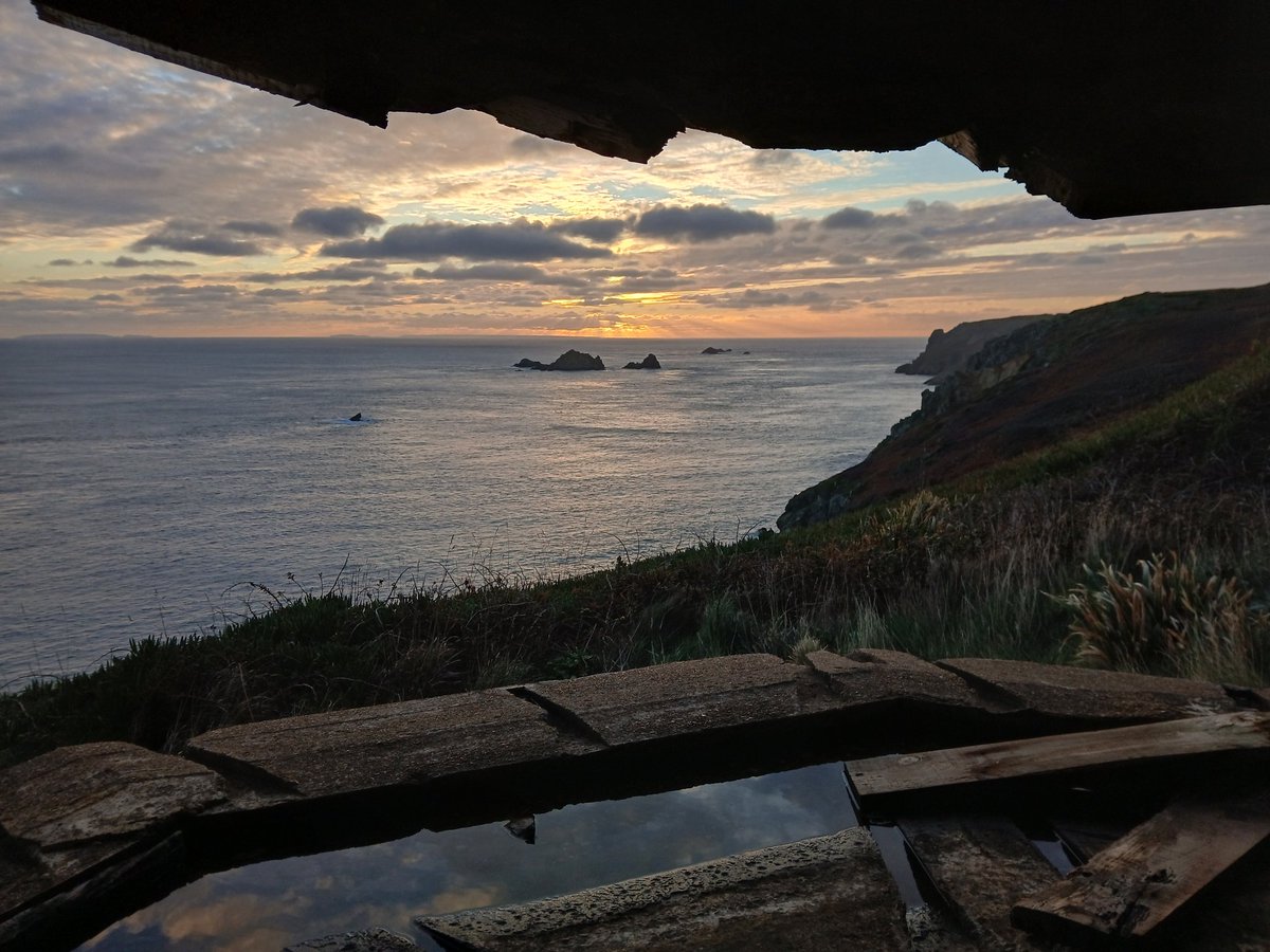 Nicolas Jouault 🏴‍☠️🇯🇪🤿🦞🌊 tweet media