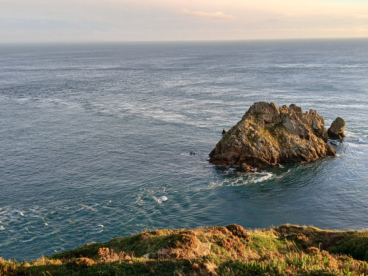 Nicolas Jouault 🏴‍☠️🇯🇪🤿🦞🌊 tweet media