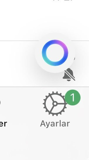 şunu whatsapp'ta şurdan kaldırmanın bir yolu yok mu cinnet geçireceğim