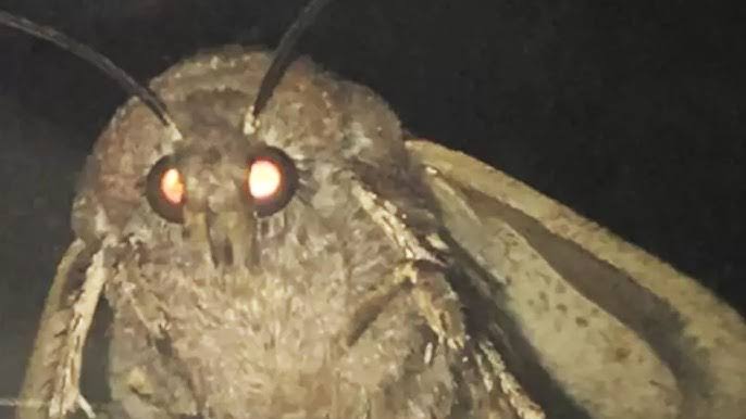 Crossroads Farming Co. tweet media