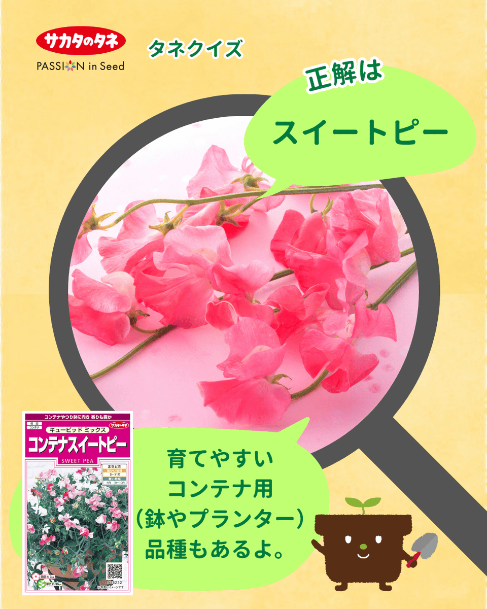 サカタのタネ_Seedfun.【公式】 (@sakatanotane_jp) / Posts / X