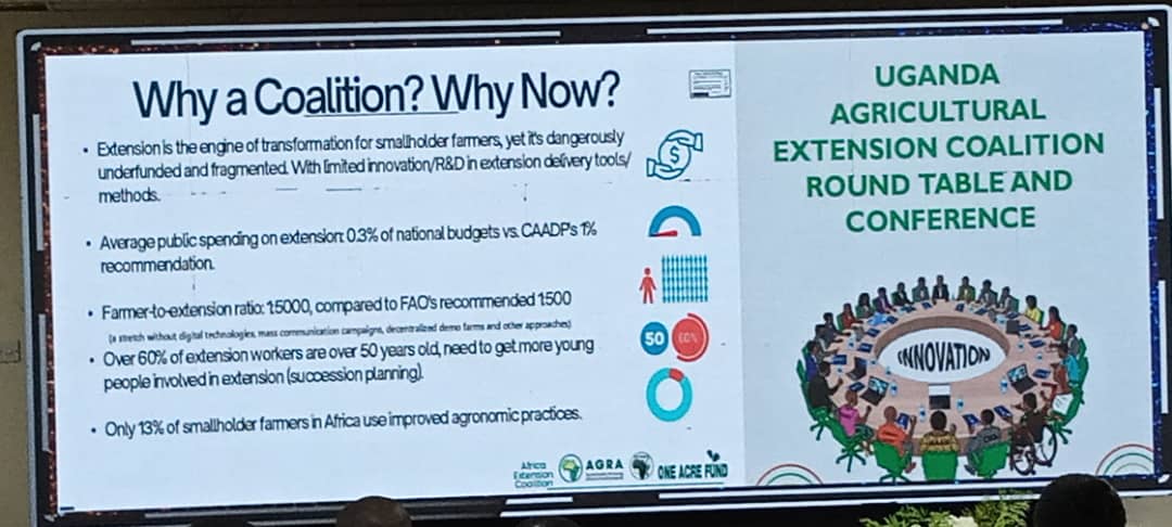 African Forum For Agricultural Advisory Services. tweet media