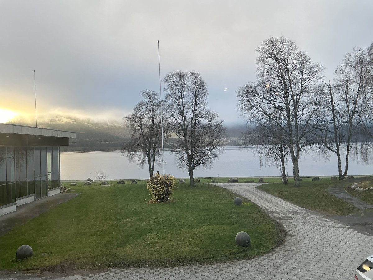 Tony Buổi Sáng tweet media