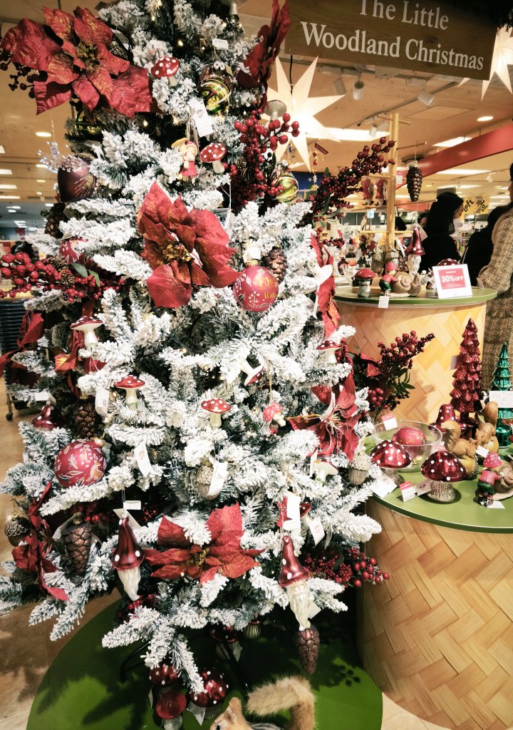 ウロウロしてた…こんなん🌲