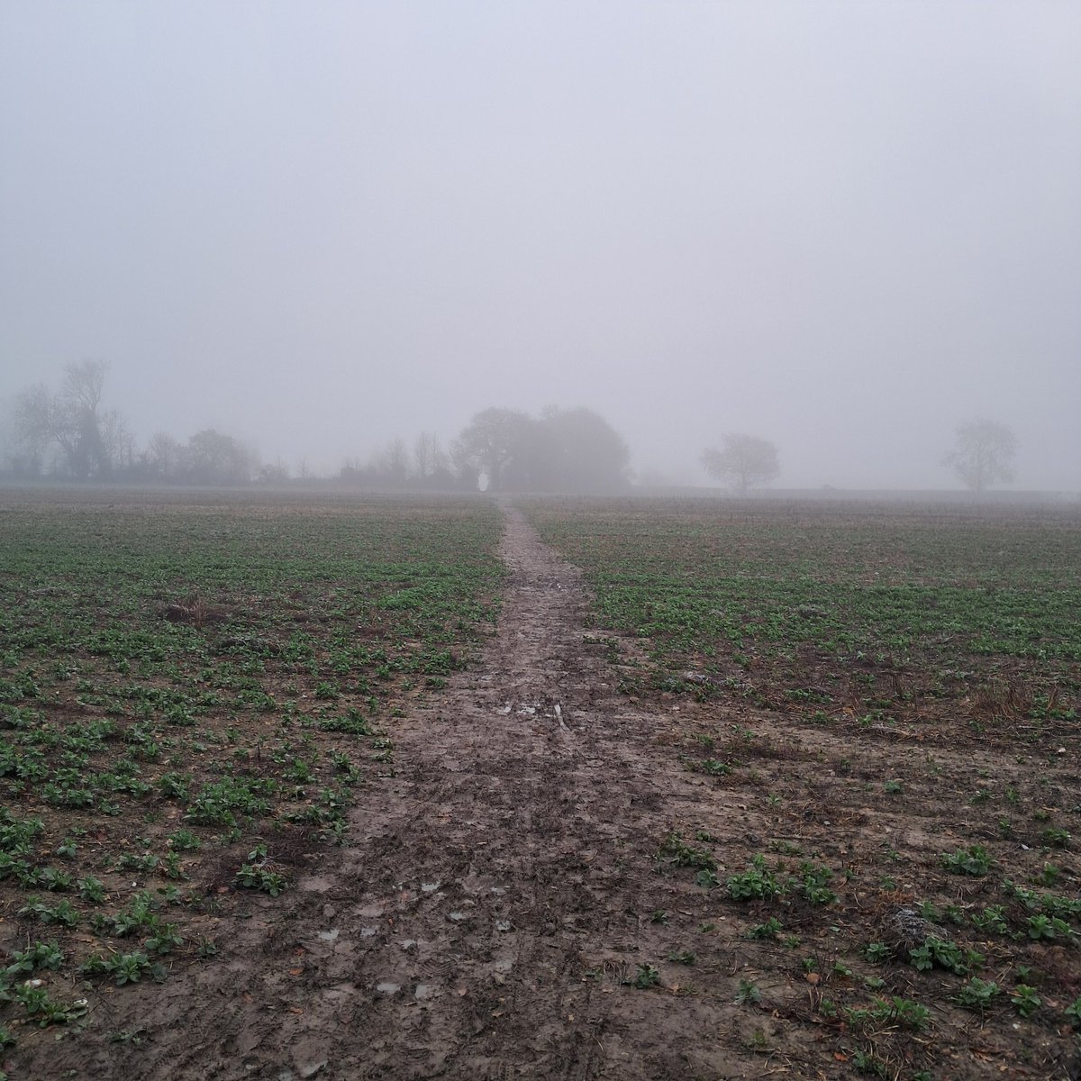 MPattenM's tweet image. Via Veritas Vita