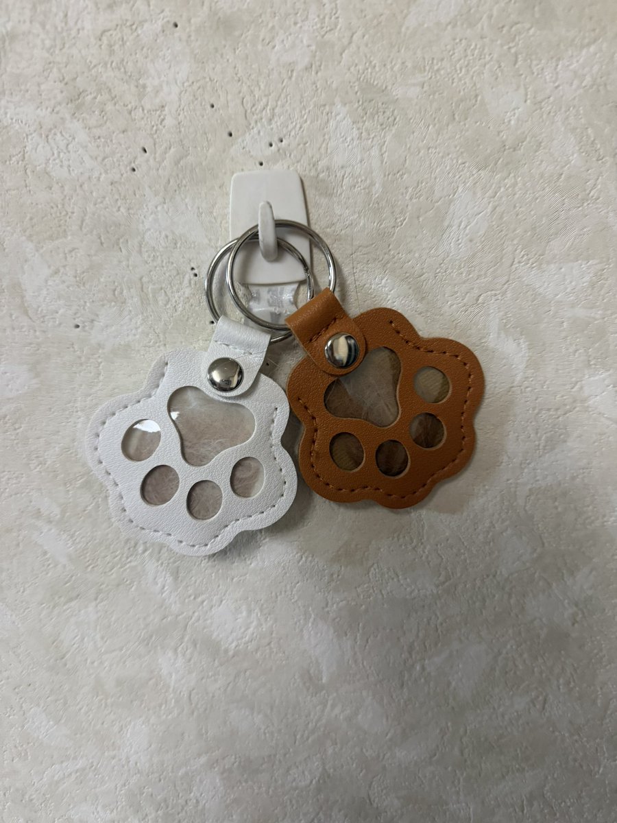 きのぴー (@kinokino1230) / Posts / X