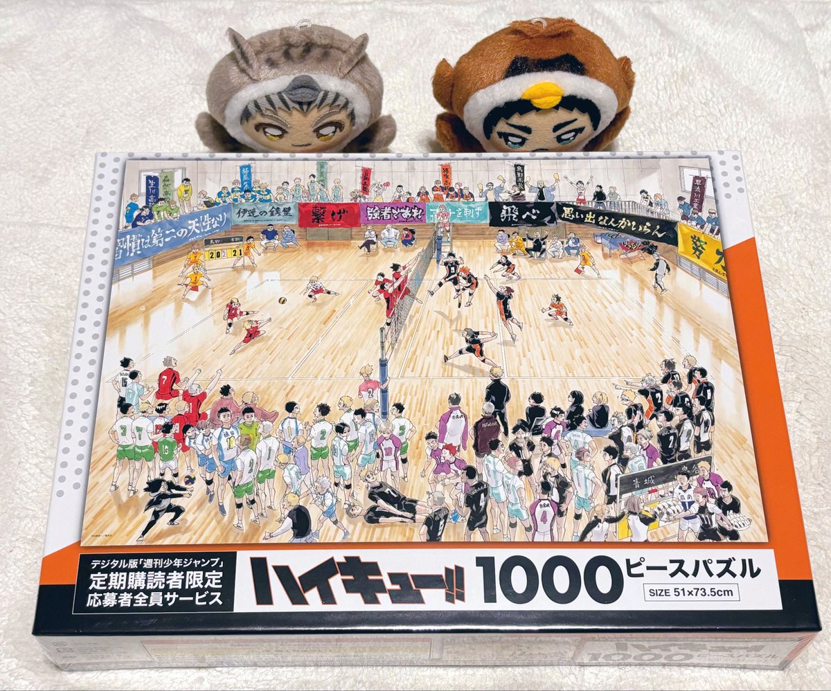 ハイキューパズルが届いたー！！🧩✨ お正月にがんばるぞっ💪
