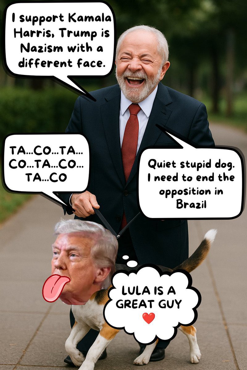 Gui Flor🇧🇷 tweet media