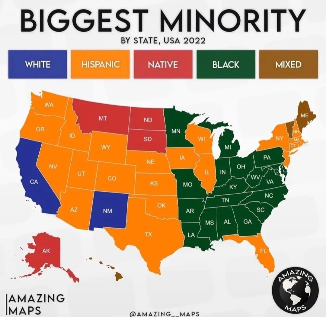 RedMaps11's tweet image. Biggest minority by state in the US