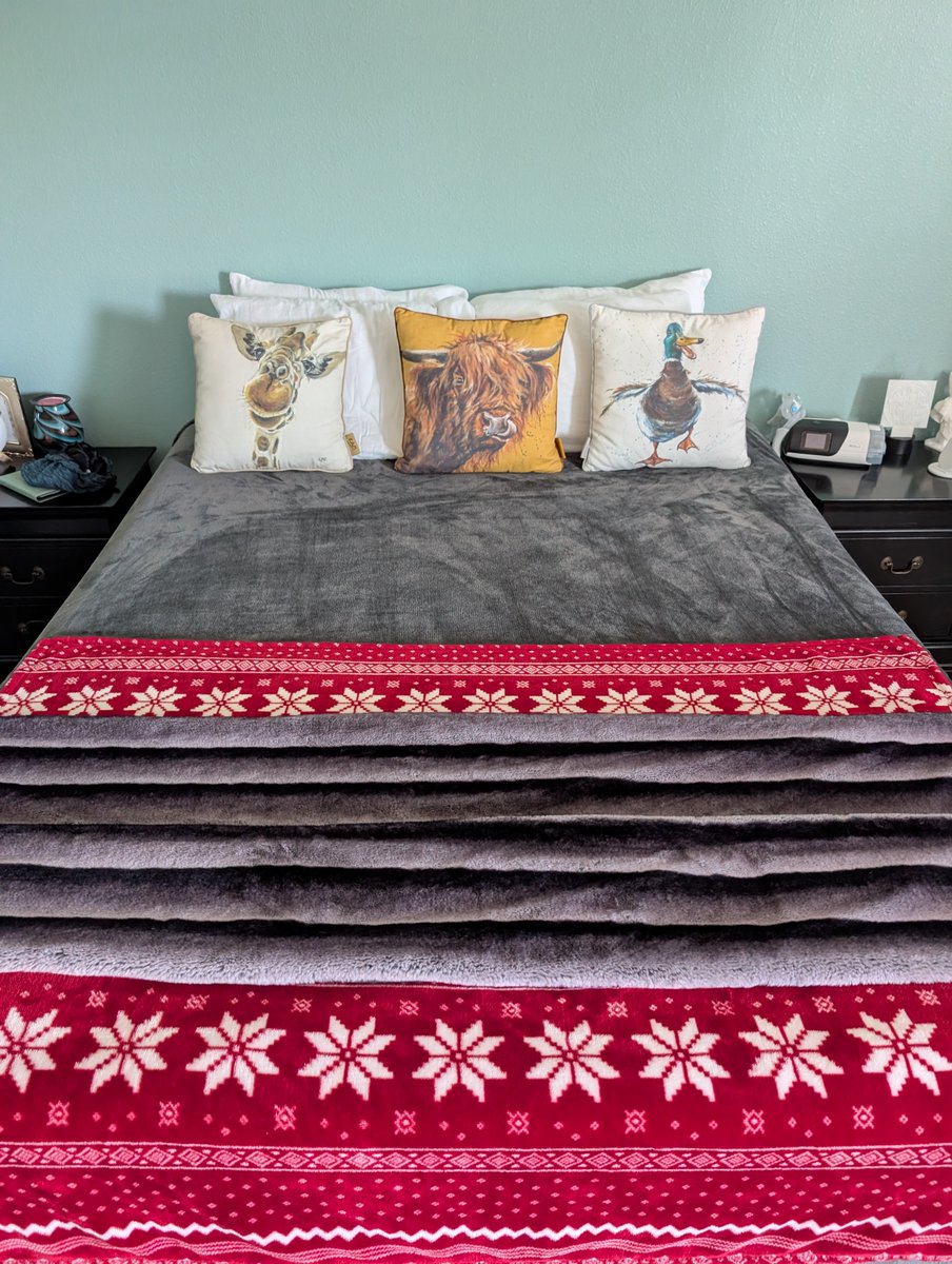 IMake_MyBed's tweet image. Where did the day go?!
At least we get to climb into a nicely made bed. Just look 👀 at it
#madebed #timeflies #sweetdreams #bedroominspo #bedroomdecor #redandgray #imakemybed #latepost📷 #GooglePixel9Pro #googlepixel