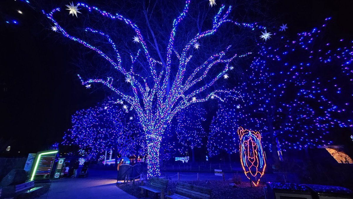 Good night 🌙 
Sweat dreams 😴 ✨️ 💤