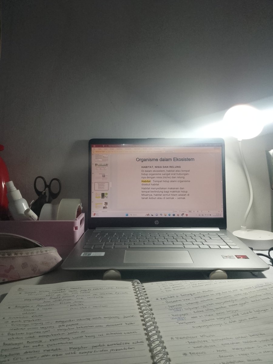 cca²⁵ tweet media