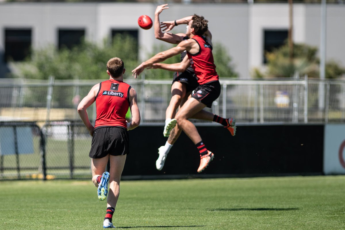 Caddy and Reid get tangled up