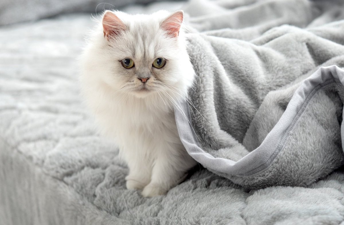 AshmanTim's tweet image. 静かに過ごしたい。コーヒー淹れよしよかな ☕ 🦸