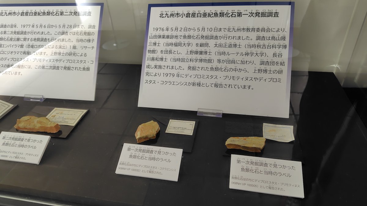 山　魚の化石三点 1975年に山田緑地で魚類化石が見つかったことが、いのちのたび博物館の