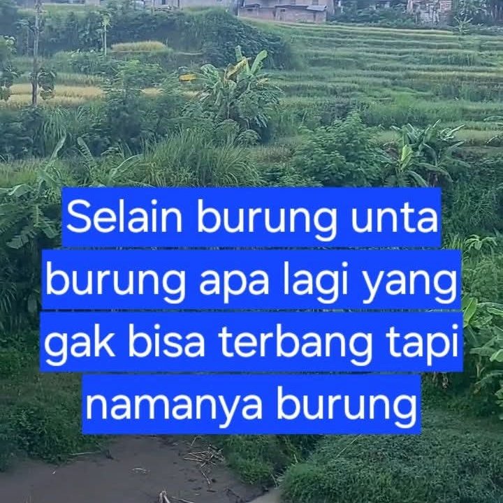 Ketawa itu GRATIS 🛩 tweet media