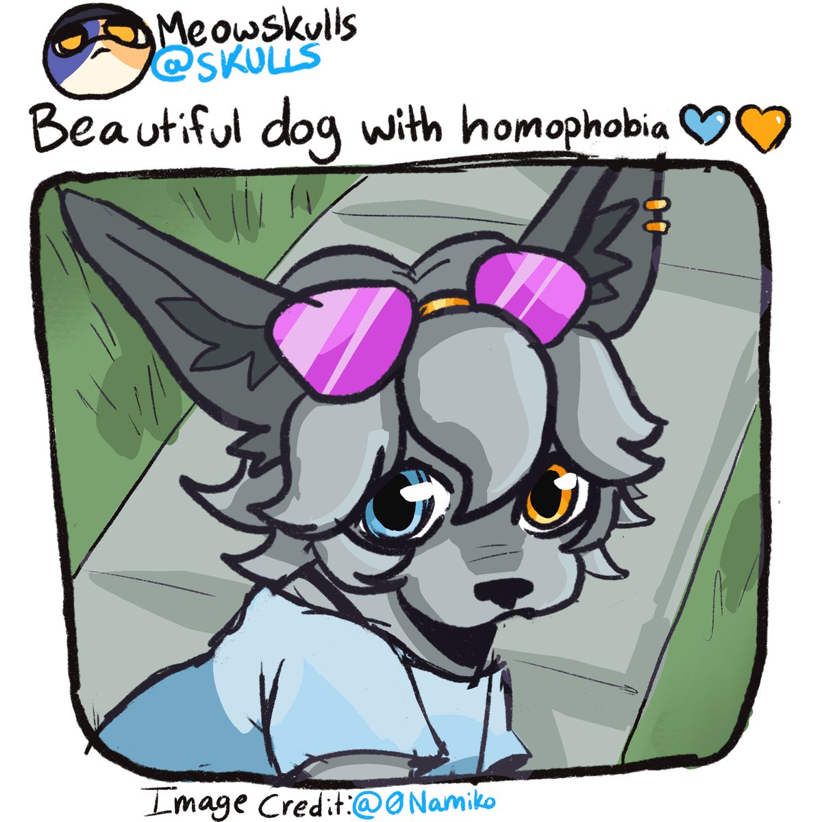 Beautiful dog with homophobia 🧡🩵