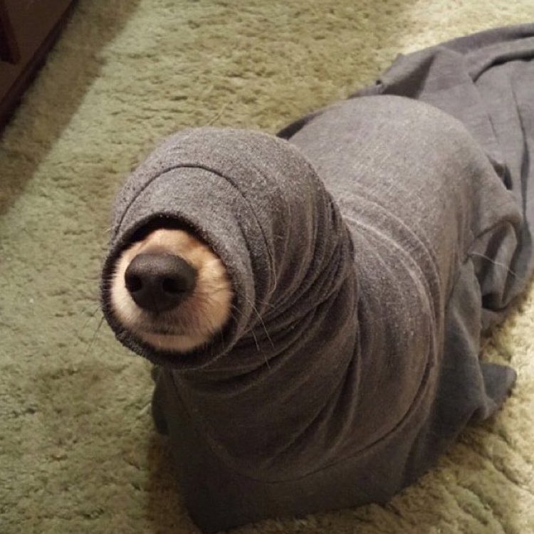 건호강아지놀이
ㅋㅋㅋ