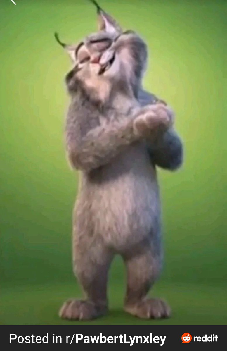 🐝🌺Charlie Angste🌻🐶 tweet media