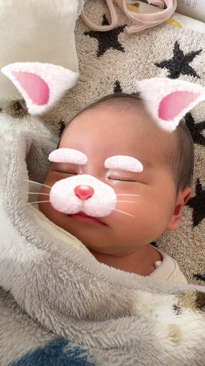 90nekooo2's tweet photo. 可愛すぎて可愛すぎて震える https://t.co/hVd4nMds7j