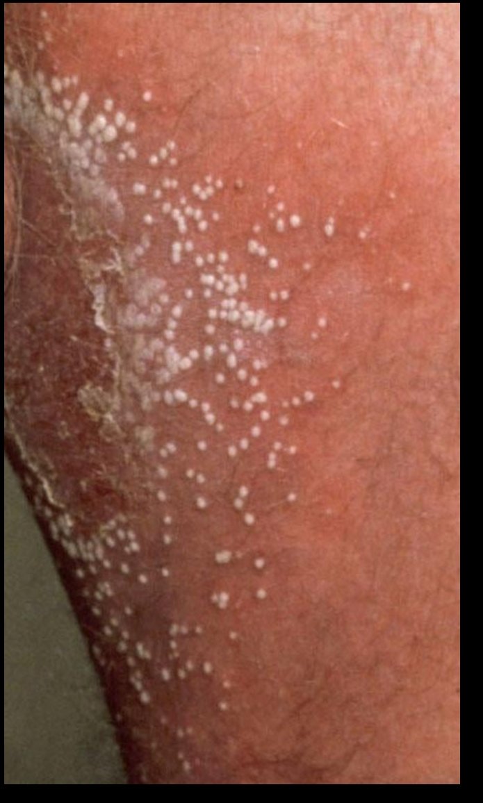 What's this??

#MedTwitter