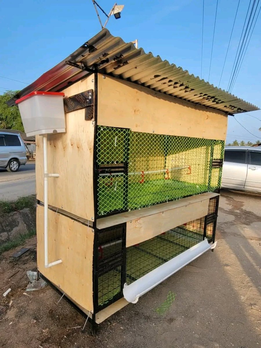 waziri_mbeya98's tweet image. Kufuga kuku Tu Nako Ni Kipengele  Haka Kabanda Tu 600k😆💔🙌🏿