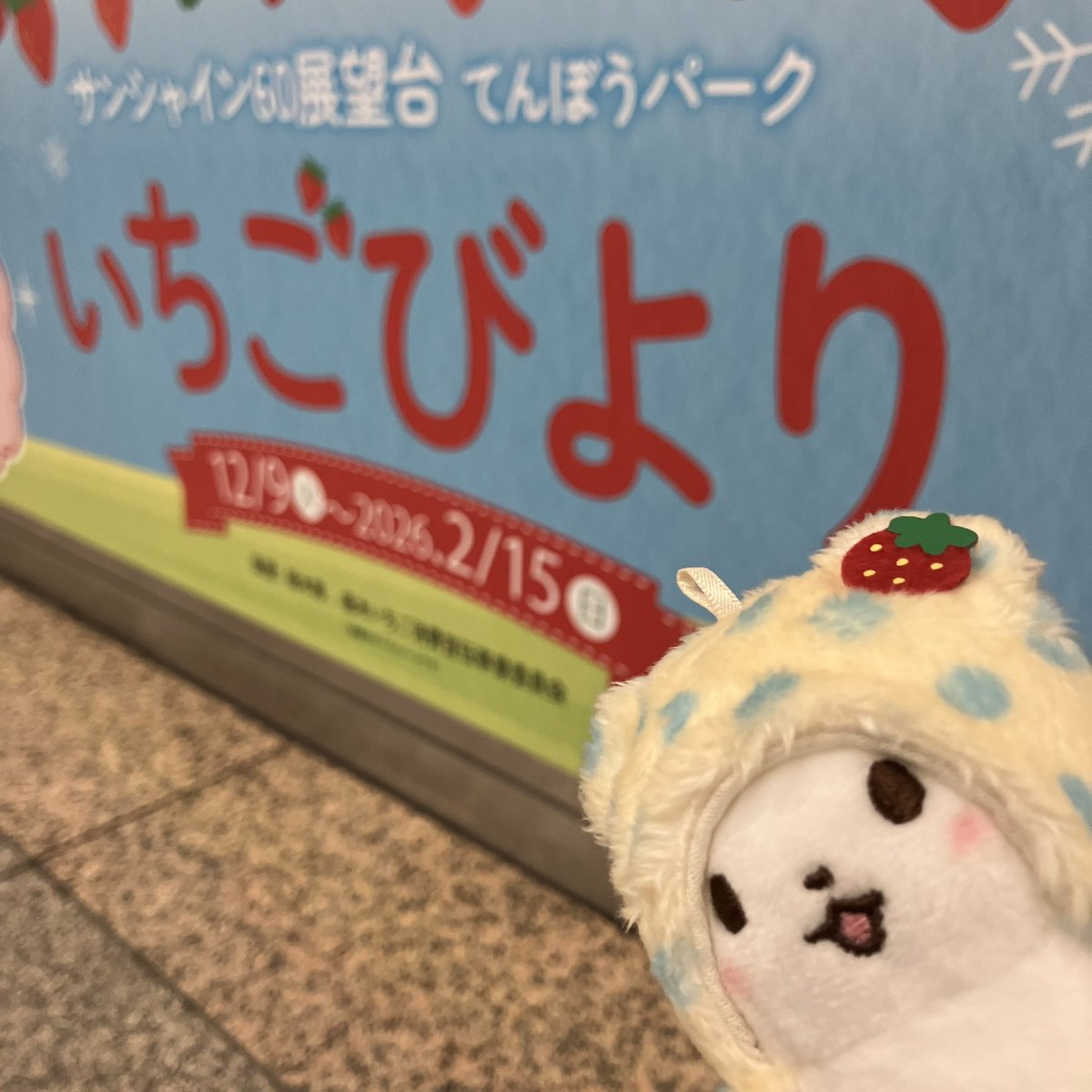 「びより」に反応してる