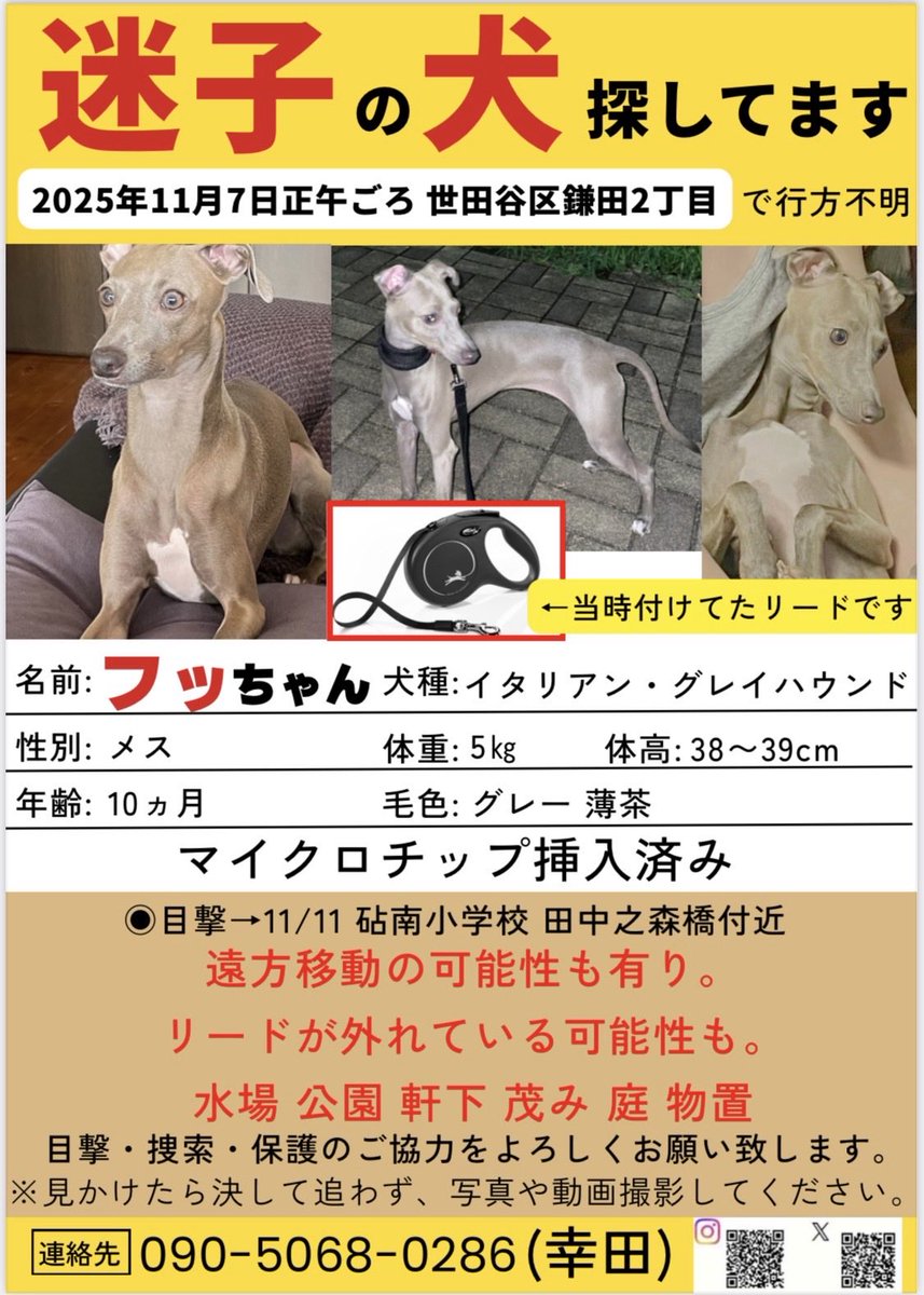 めるも「ボク うぃん、弟はエア 妹はエイル よろしくね