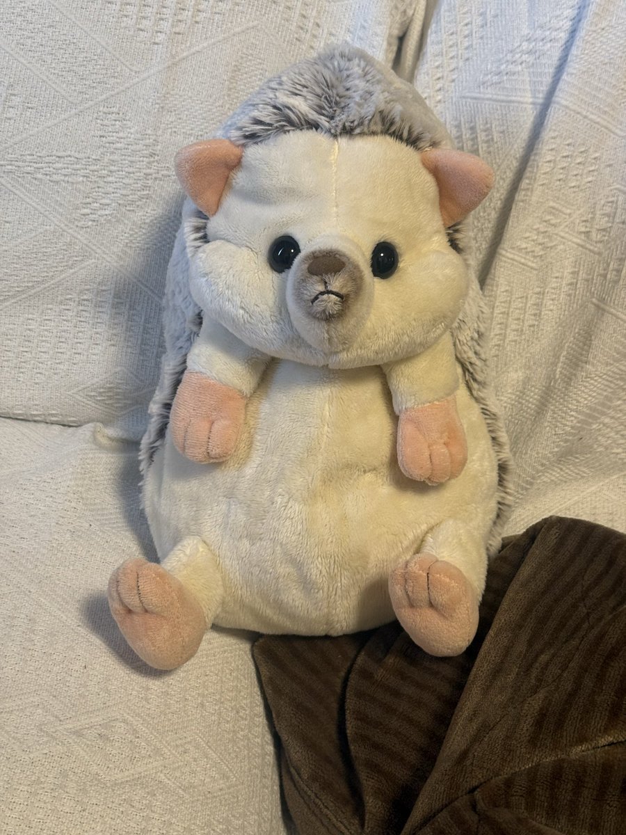 スタンミじゃぱん (@sutanmiJPN) / Posts / X