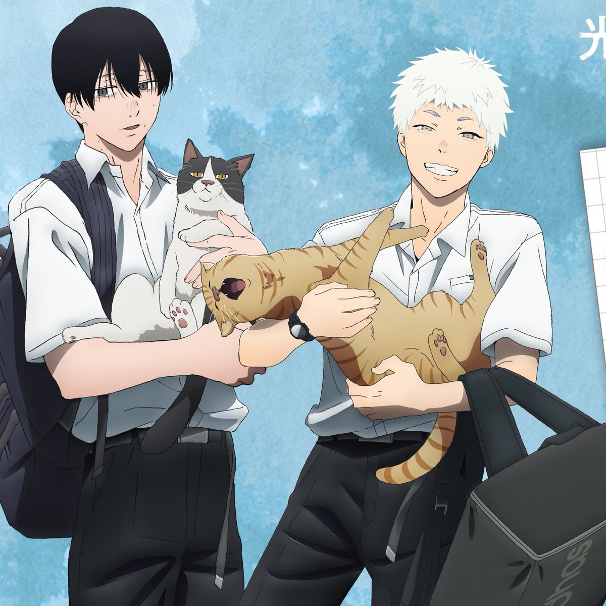 buriedsoftboi's tweet photo. average gay couple with their lovely children https://t.co/0FiSlfGH9E