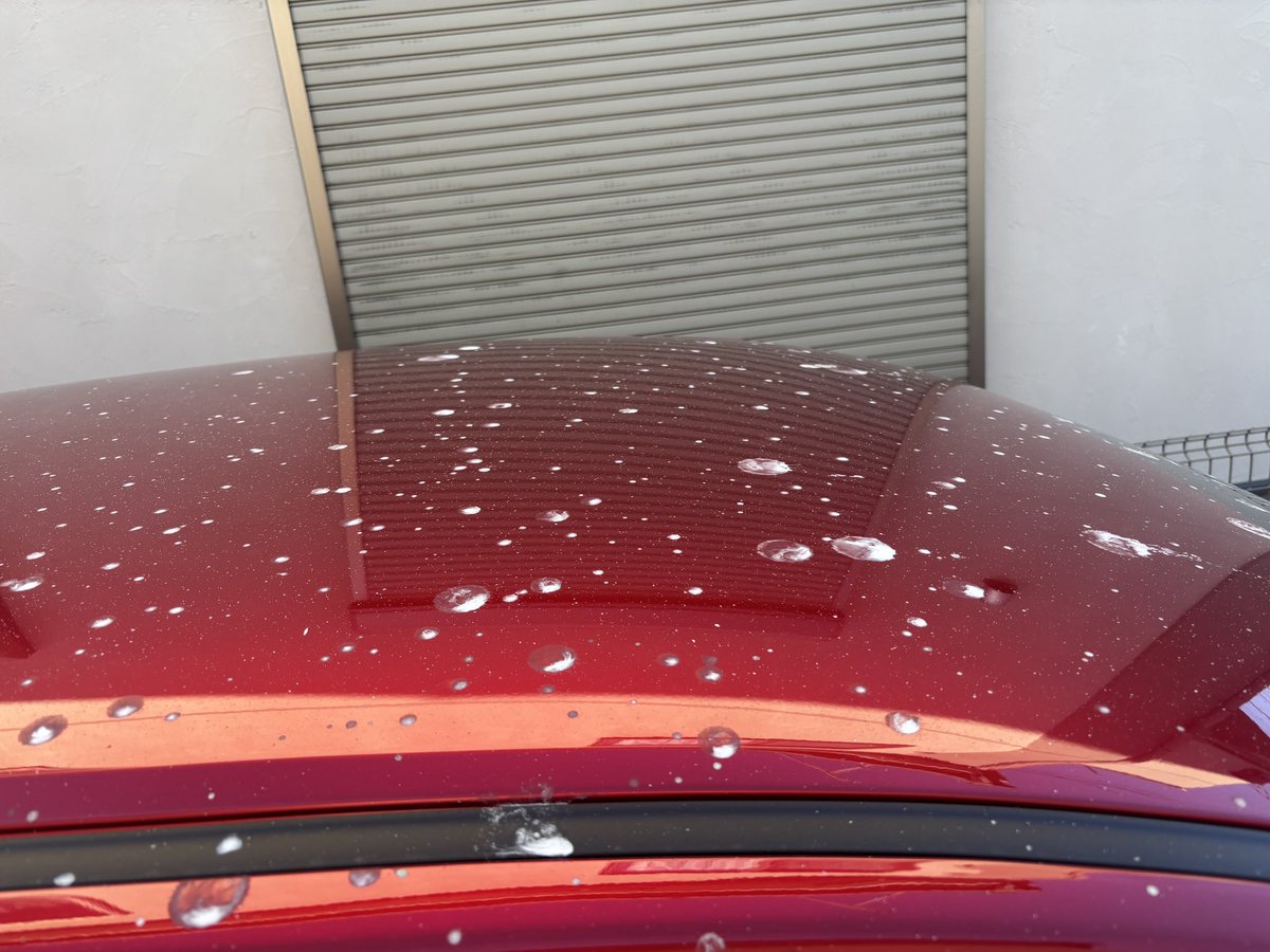 thikako_BDFE_'s tweet photo. 鳥の恨みを旦那か子供が怨みを買ったのか…車が一夜にしてフンだらけなんだけど！！！何羽いたんだよってレベルの糞害…13年住んでてこんなこと初めて( 'ㅂ')ﾋｯ https://t.co/KCx7L70IKG