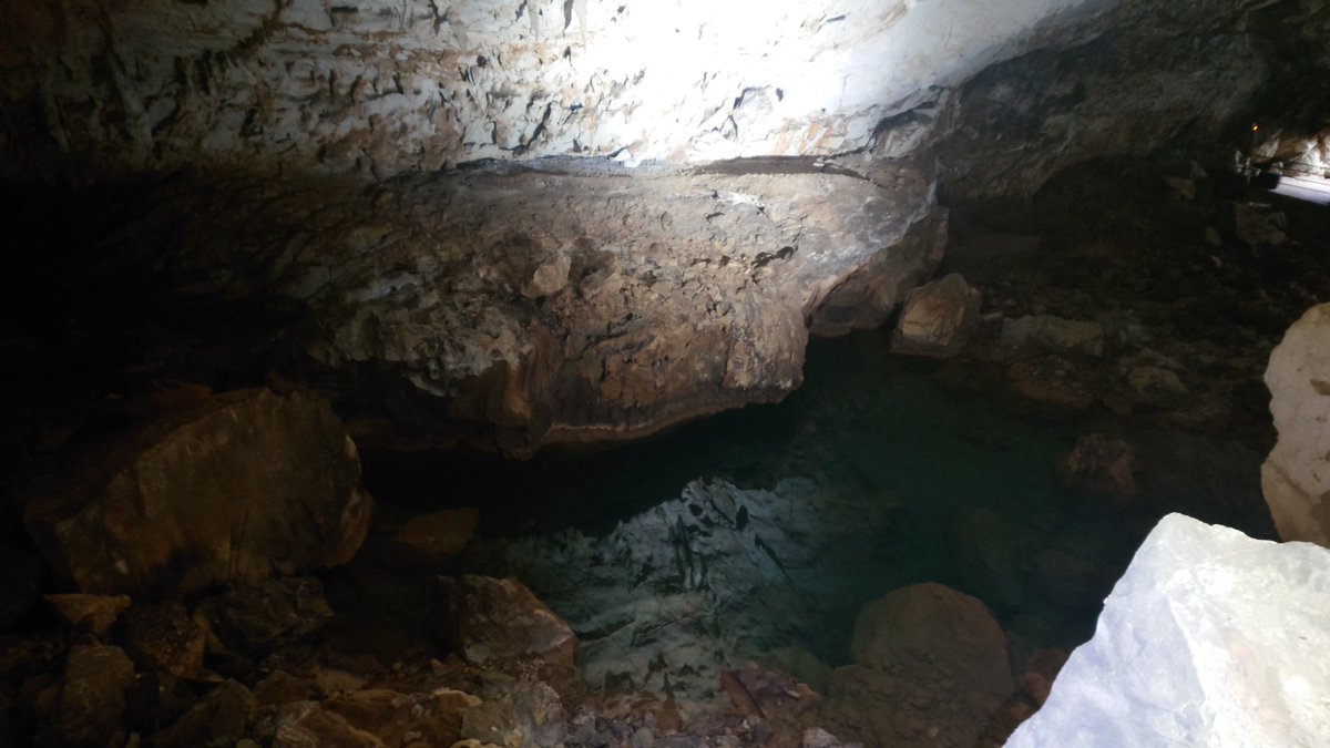 現在、秋芳洞内を流れる水は少なく、岩と岩の間に流れる音が水琴窟のように聞こえたり、普段は見えない水底が見える場所があります。