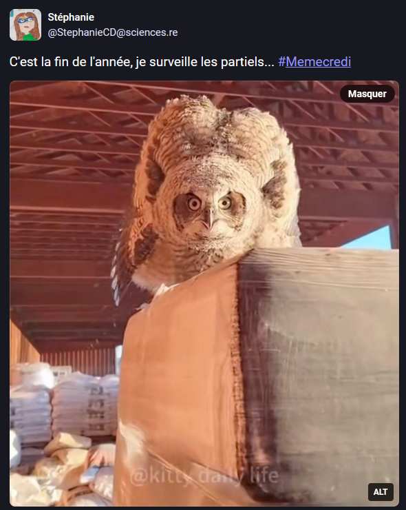 Memecredi tweet media
