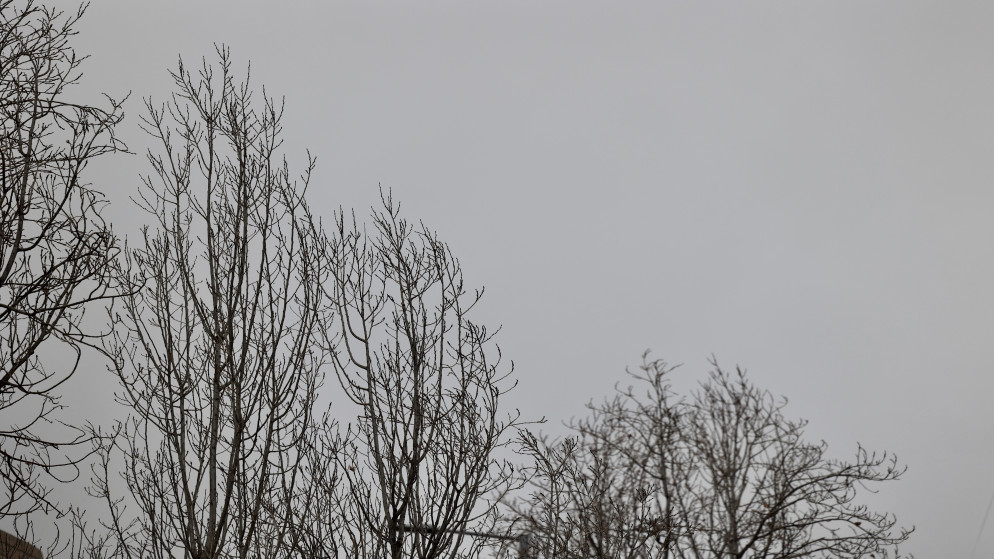 طقس بارد وأمطار رعدية وتحذير من السيول جنوبا اليوم #الأردن 