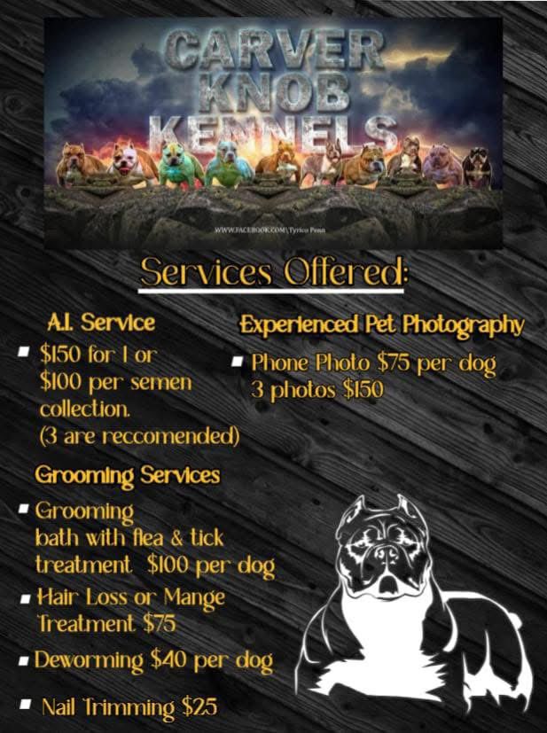 CTDKKennels's tweet photo. If You Need Any Of Our Services Give Us A Call At (276)340-0718 @CTDKKennels https://t.co/JDXNTol0Vs