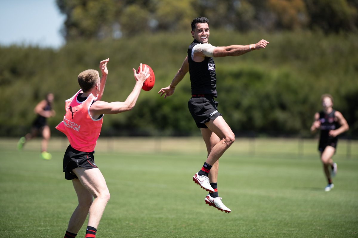 The Caddy Shack (@charliedons) on Twitter photo 