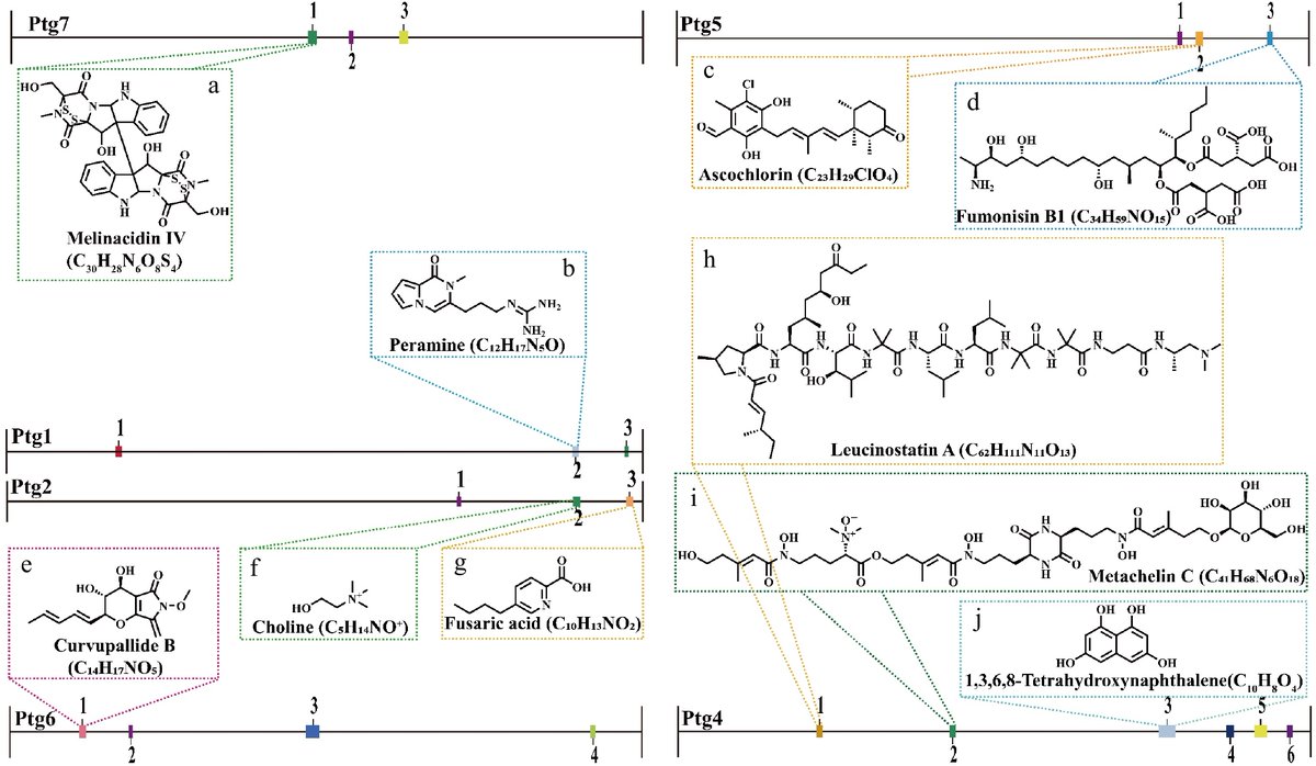 MaximumAcademic's tweet image. #ABD
Trichoderma hamatum Z32 coils enemy hyphae, pumps 10 antifungal clusters, slashes ginseng root rot 62% without chemicals. 🌱⚔️
@JournalPlant #clusters #ginseng #chemical #rot
Details: maxapress.com/article/doi/10…